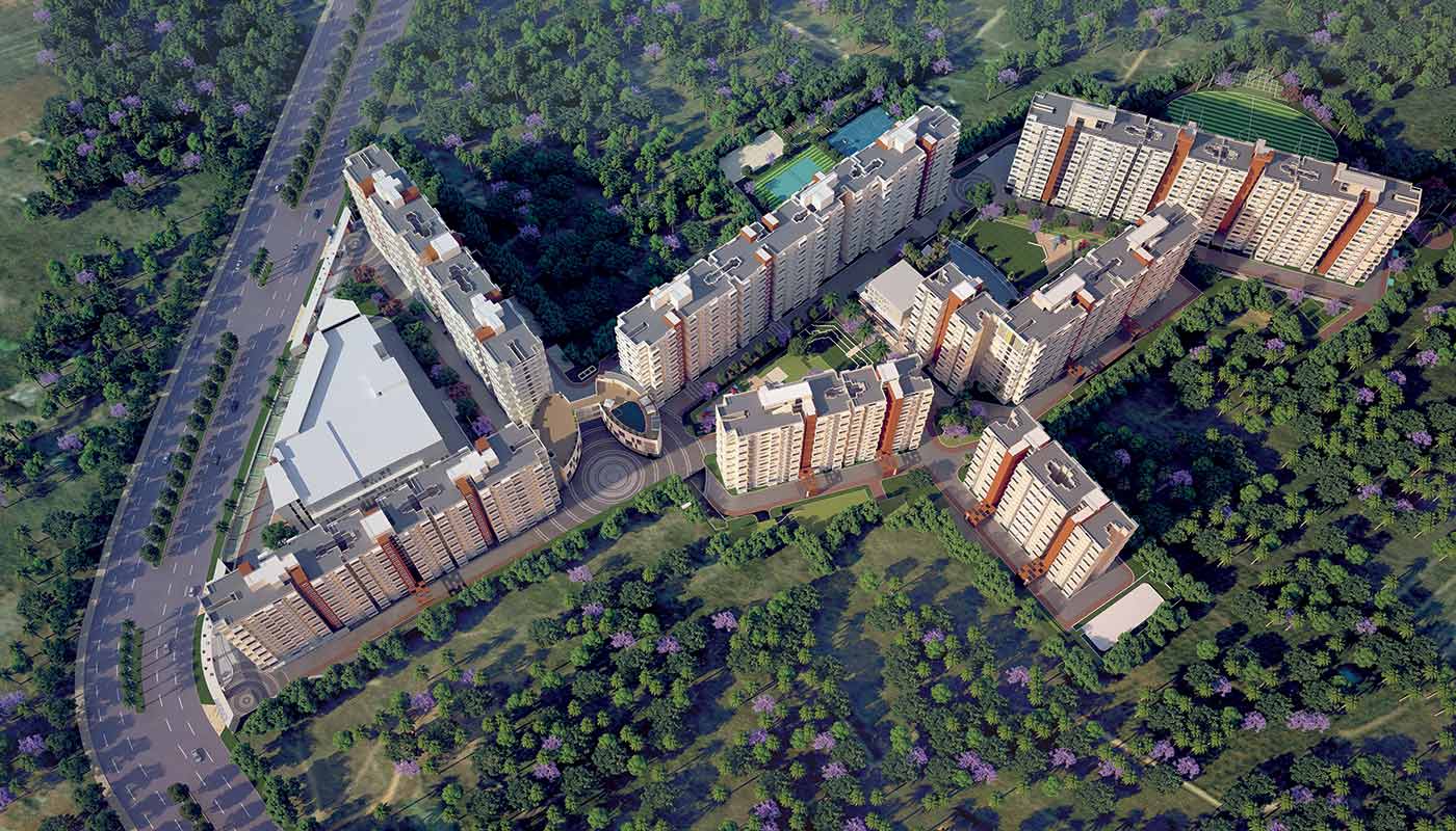 TVS Emeral Auralis Overview 2